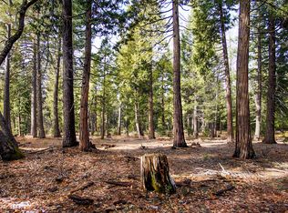 4 Ritts Mill Rd, Shingletown, CA 96088