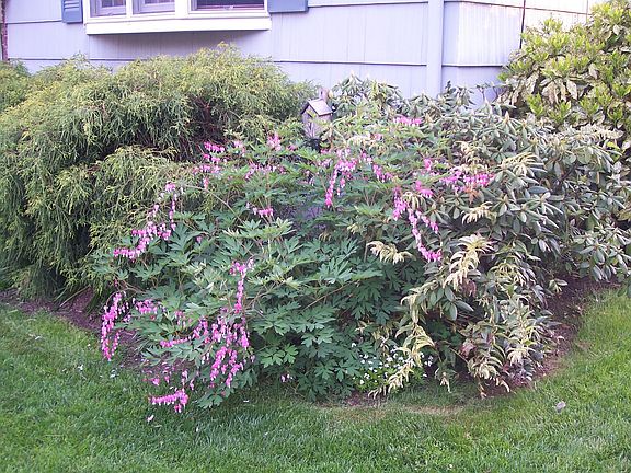 front corner of house