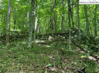 Tbd Buckeye Ln, Banner Elk, NC 28604