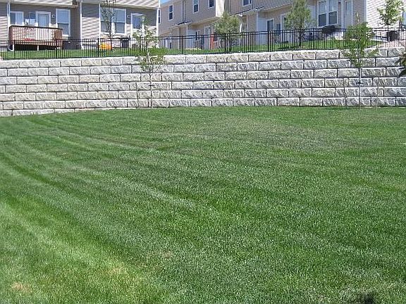 Green Space Behind Unit