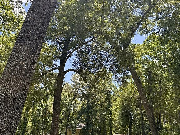 3rd image of 0 Elk Dr