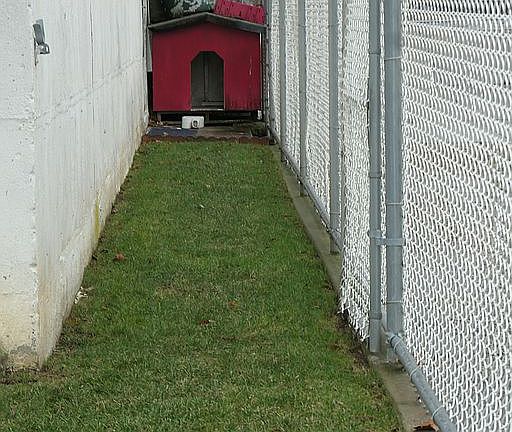 5th image of 1915 E 32nd St