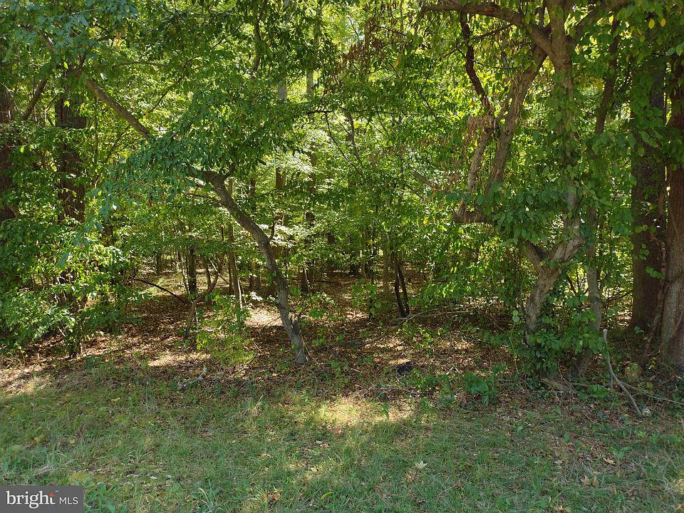 2nd image of PARCEL 195 Turkey Point Rd
