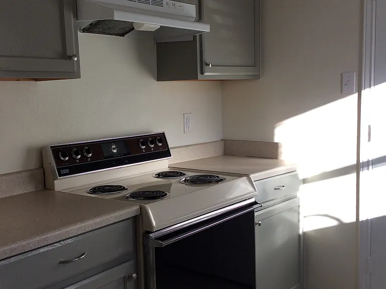 472 Shady Bluff Dr — Photo 2