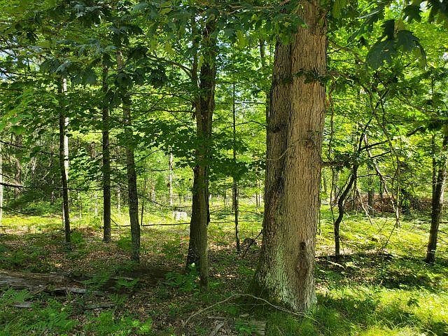 1st image of 0 Turtle Lake Rd