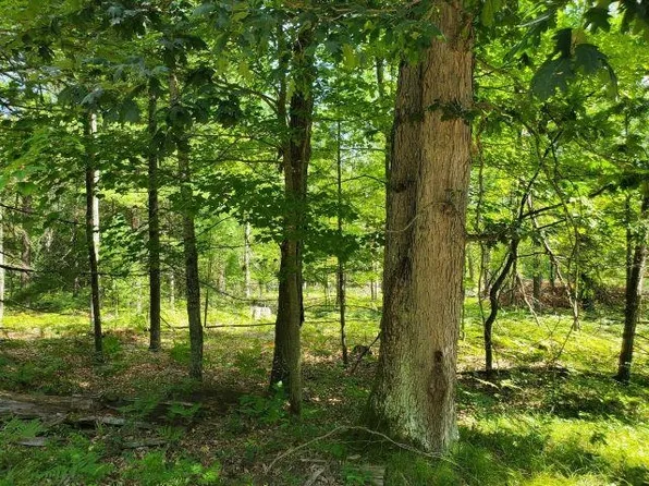 0 Turtle Lake Rd, Prescott, MI 48756