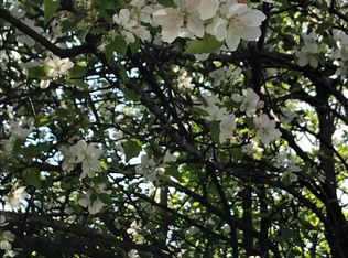 2300 Lathrop Ave, North Riverside, IL 60546