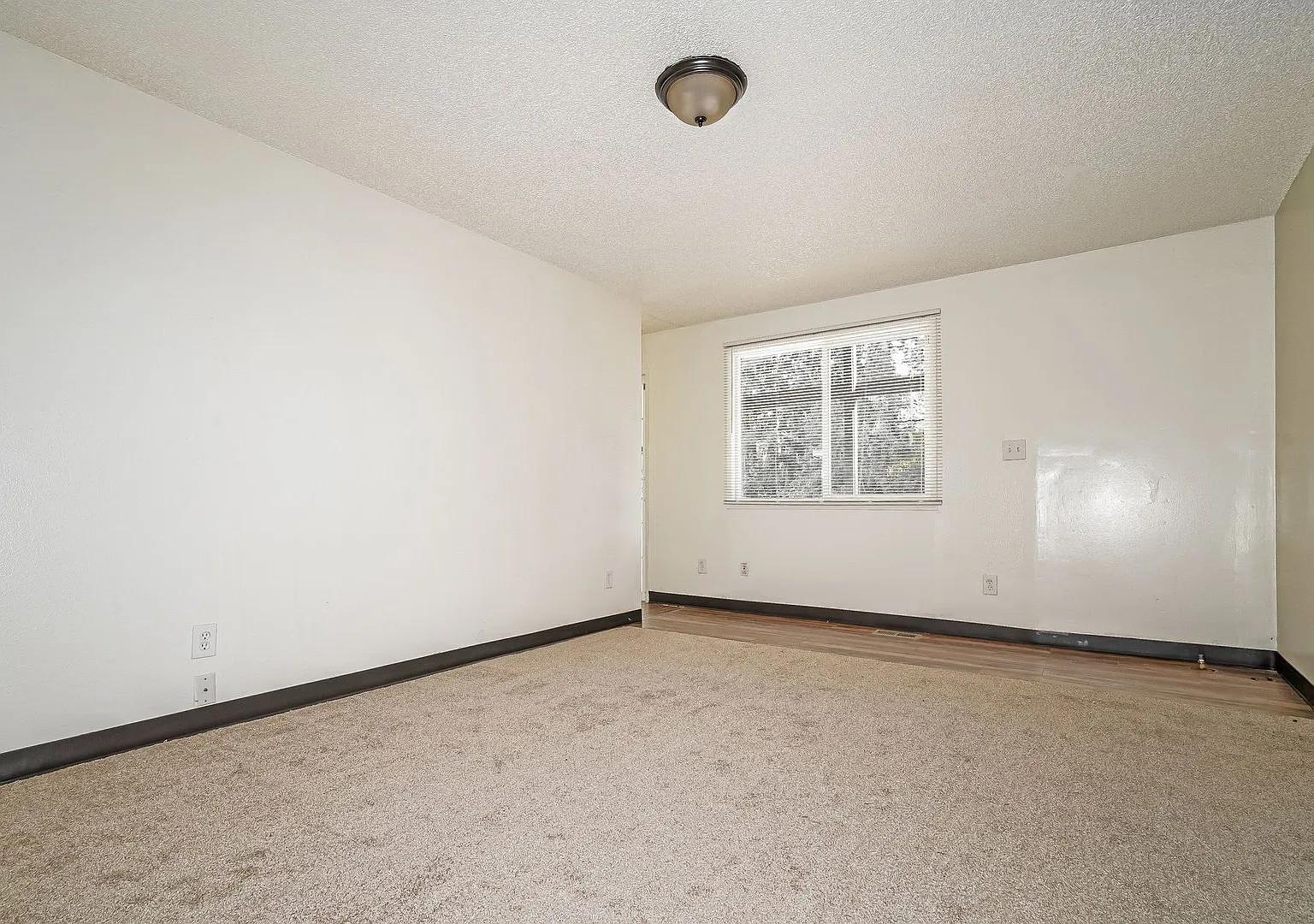Inviting East Tacoma Home with Spacious Yard — Photo 3