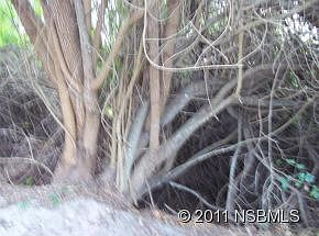 3rd image of 2022 N Peninsula Ave