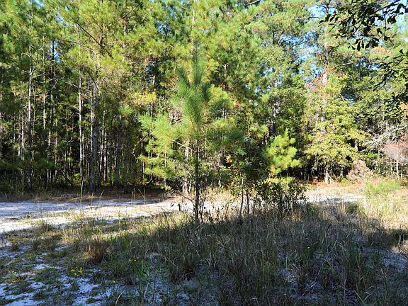 2nd image of Lots 1,2 Riverland Drive