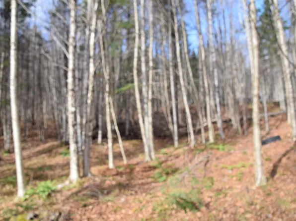 253 Brook Park Road, Stewartstown, NH 03576