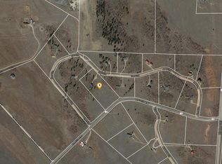 384 S Foxtail Ln, Fairplay, CO 80440