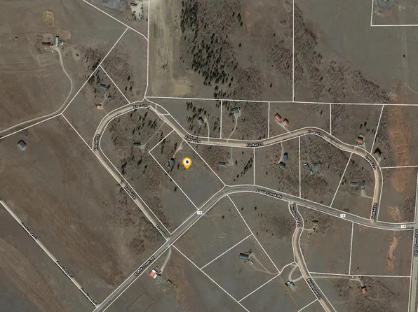 384 S Foxtail Ln, Fairplay, CO 80440