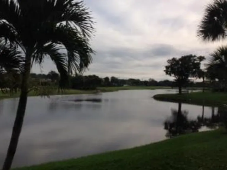 Your view looking right and the 7th hole in the distance. Water's edge about twenty feet away so you can see the fish and turtles.