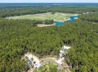 45 Inkberry St, Bluffton, SC 29910