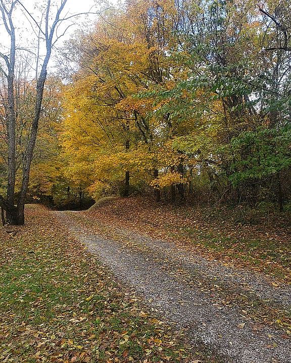 68500 Morristown Flushing Rd, Flushing, OH 43977 Zillow