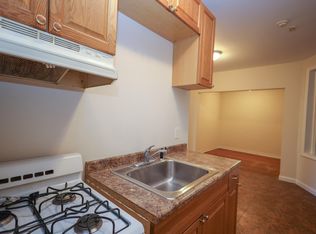 134 W Concord St #2G, Boston, MA 02118