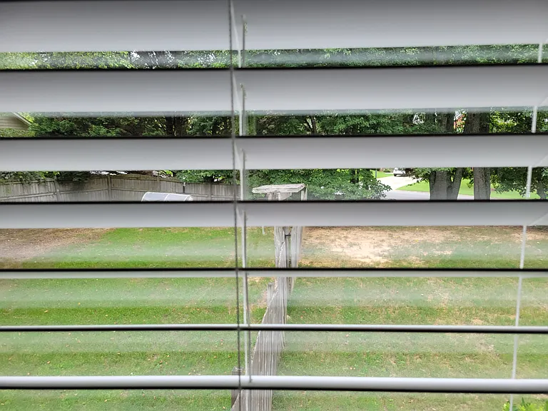 View of the back yard plus the side of the front lawn which leads to an area surrounded by trees.