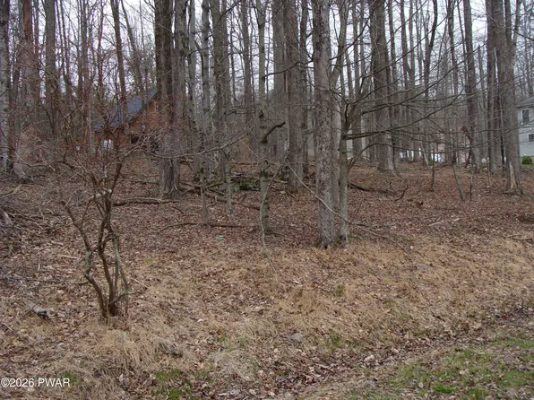 46 Indian Dr, Lake Ariel, PA 18436