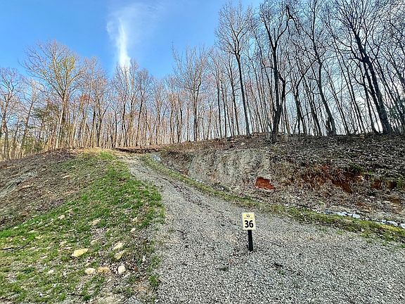 3rd image of 36 Bears Paw Dr