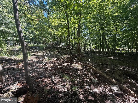 5th image of 73 Mountain Rise Dr