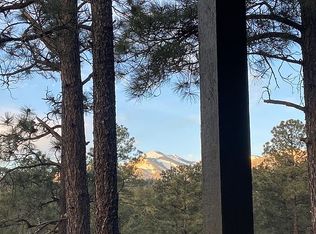 129 Pine Cone Ln, Alto, NM 88312
