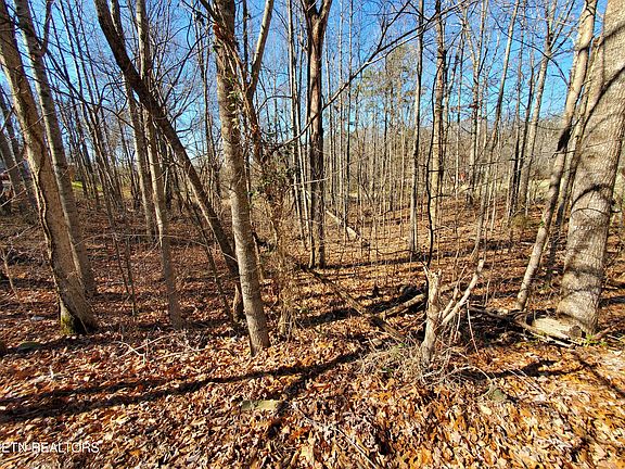 4th image of 0 Lester Jarnigan Rd