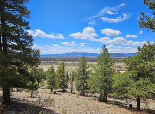 Lot 395 Bonell Drive, Fairplay, CO 80440