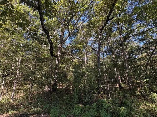 25595 Fm 787, Thicket, TX 77374