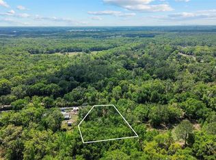 0 Muddy Water Trl Lot 280000, Thonotosassa, FL 33592