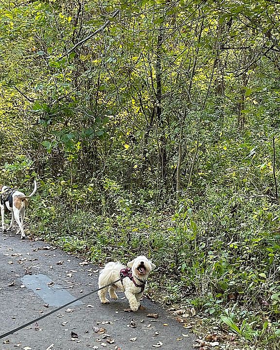 Beautiful park and Trails