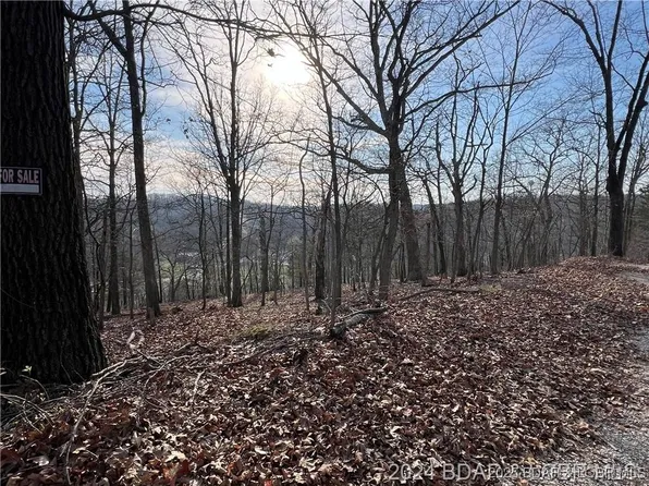 (undisclosed Address), Camdenton, MO 65020