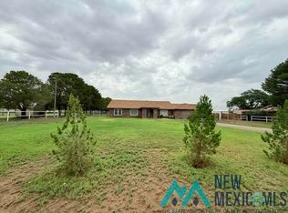 4407 S Thomason Rd, Carlsbad, NM 88220