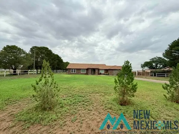 4407 S Thomason Rd, Carlsbad, NM 88220