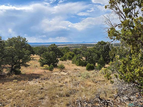 5th image of 136 Ponderosa View Loop