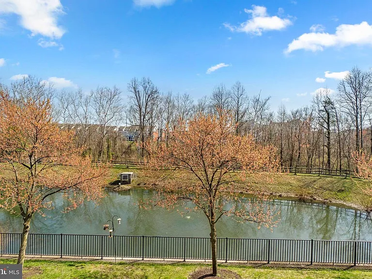 Backyard - Pond view