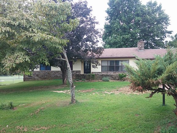 Dog Wood and Red Maple