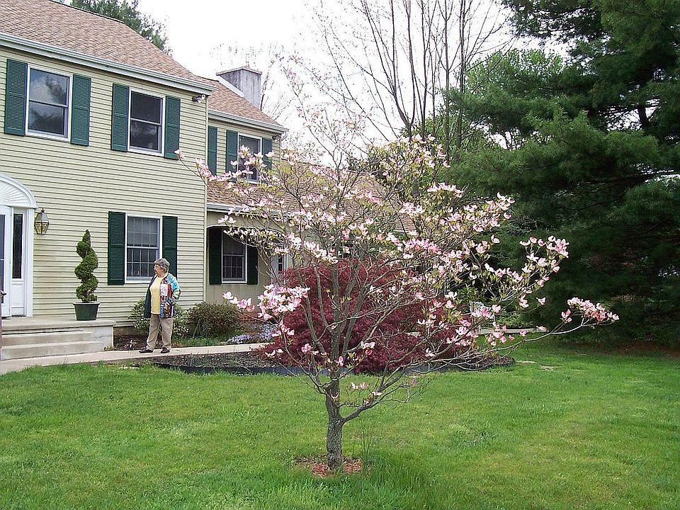 Springtime at 390