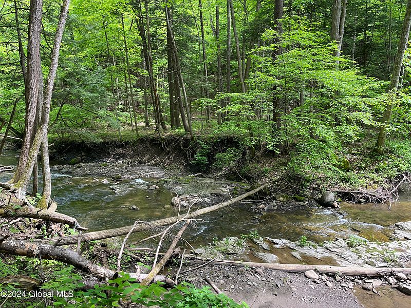 5th image of 0 Klemme Road