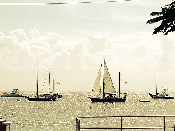 Esperanza habour