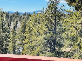 31 Spruce Lake Dr, Divide, CO 80814
