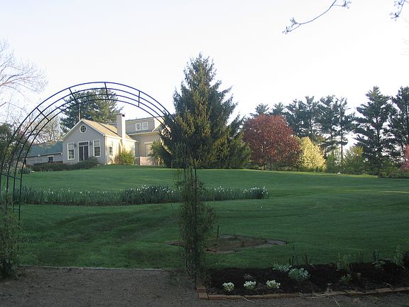 From the Rock Garden