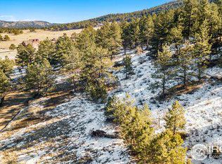 1004 Snow Top Dr, Drake, CO 80515