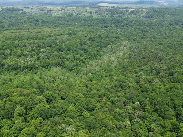 0 Glen Campbell Rd, Glen Campbell, PA 15742