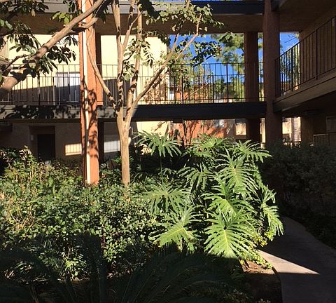 2nd image of 15425 Sherman Way APT 156