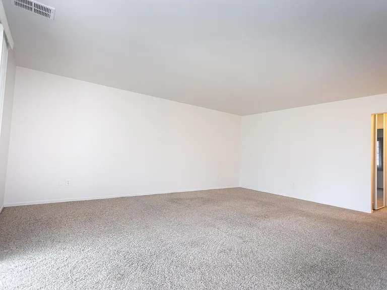 902 Birch Tree Ln — Photo 20