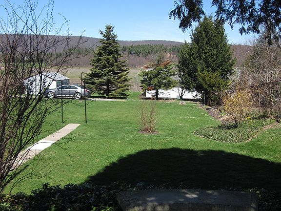 back yard