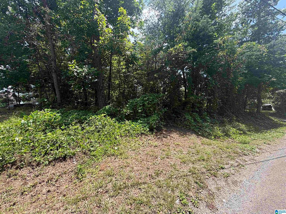 2nd image of 0 Holliday Dr #6