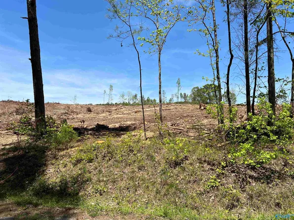35 Acres Hwy, Gaylesville, AL 35973