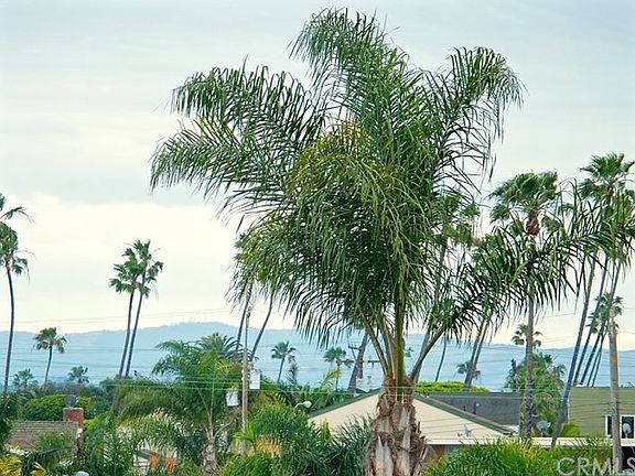 Catalina can be seen on a clear day!